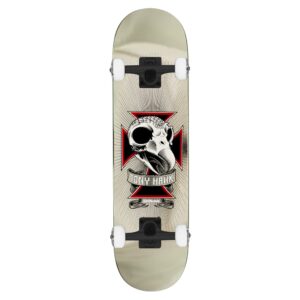 Tony Hawk Skull II Chrome 7.75 Complete Skateboard
